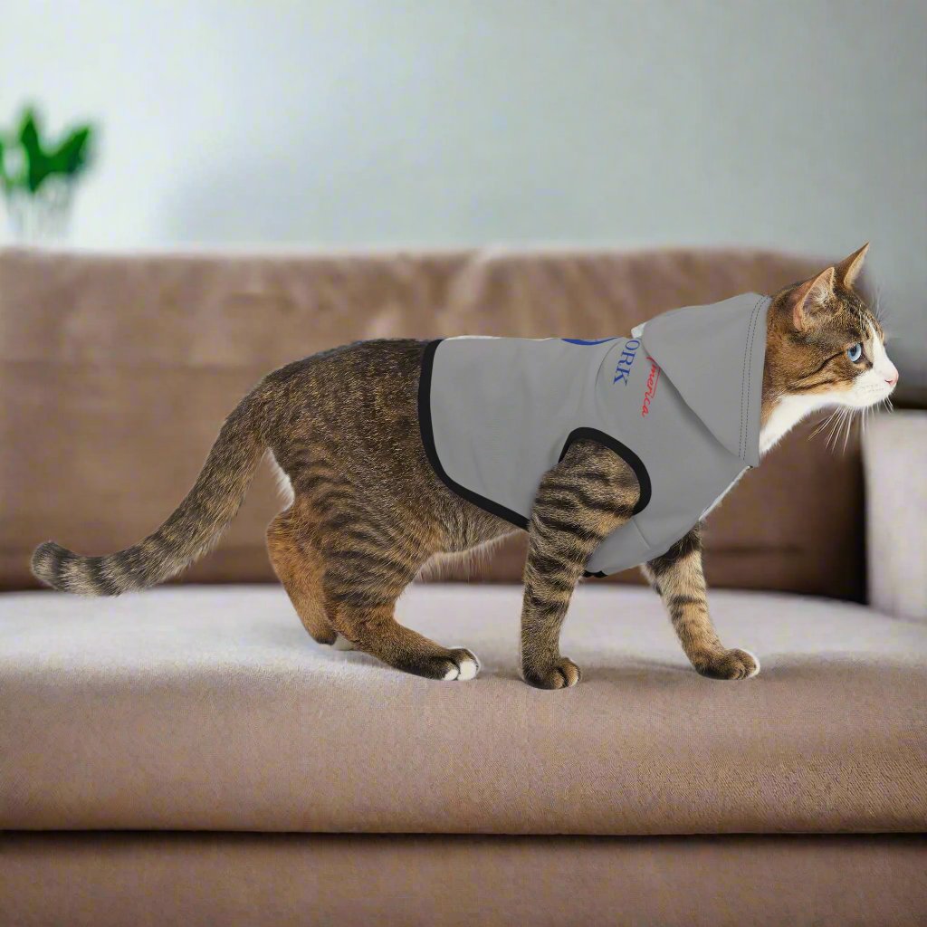 Pet Hoodie
