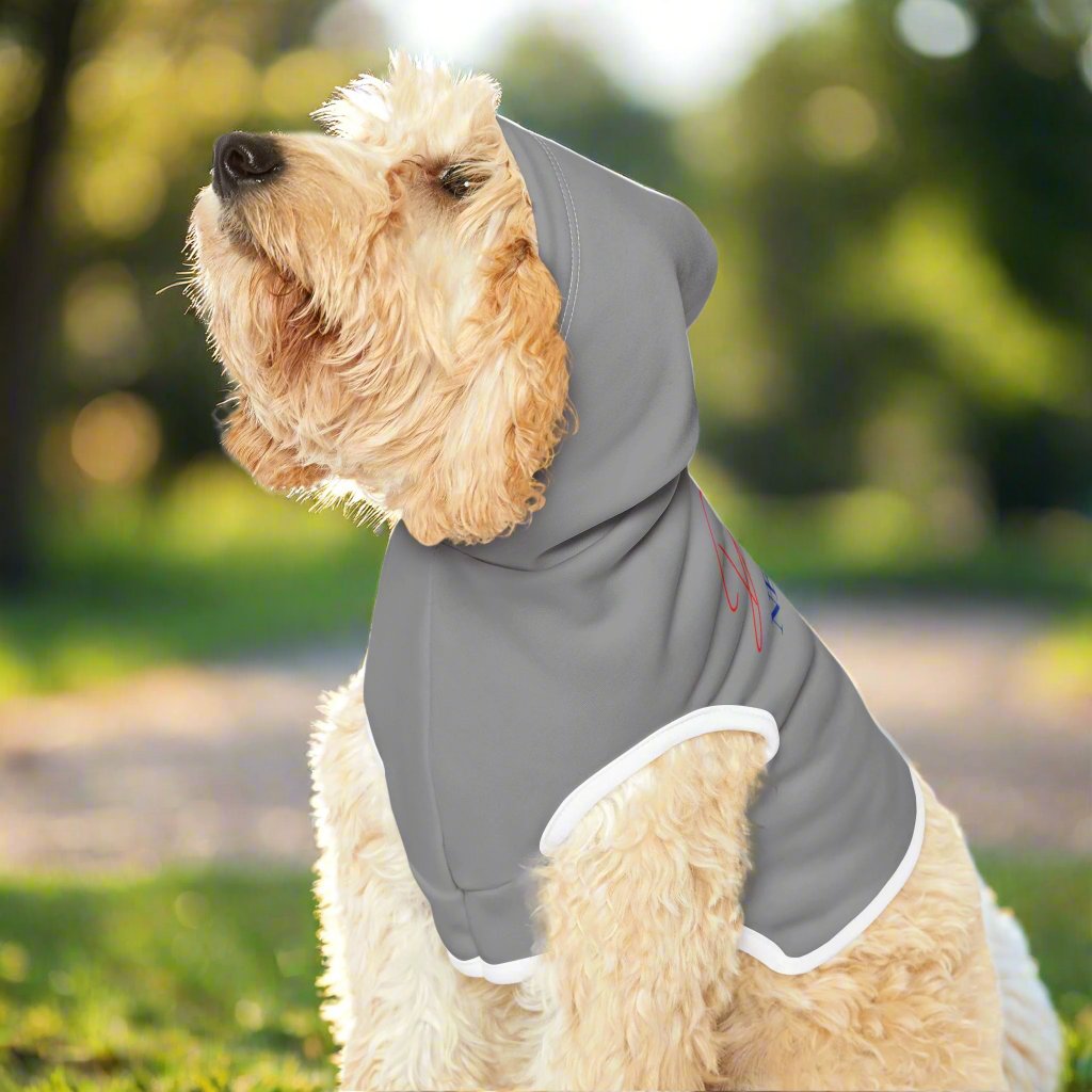 Pet Hoodie