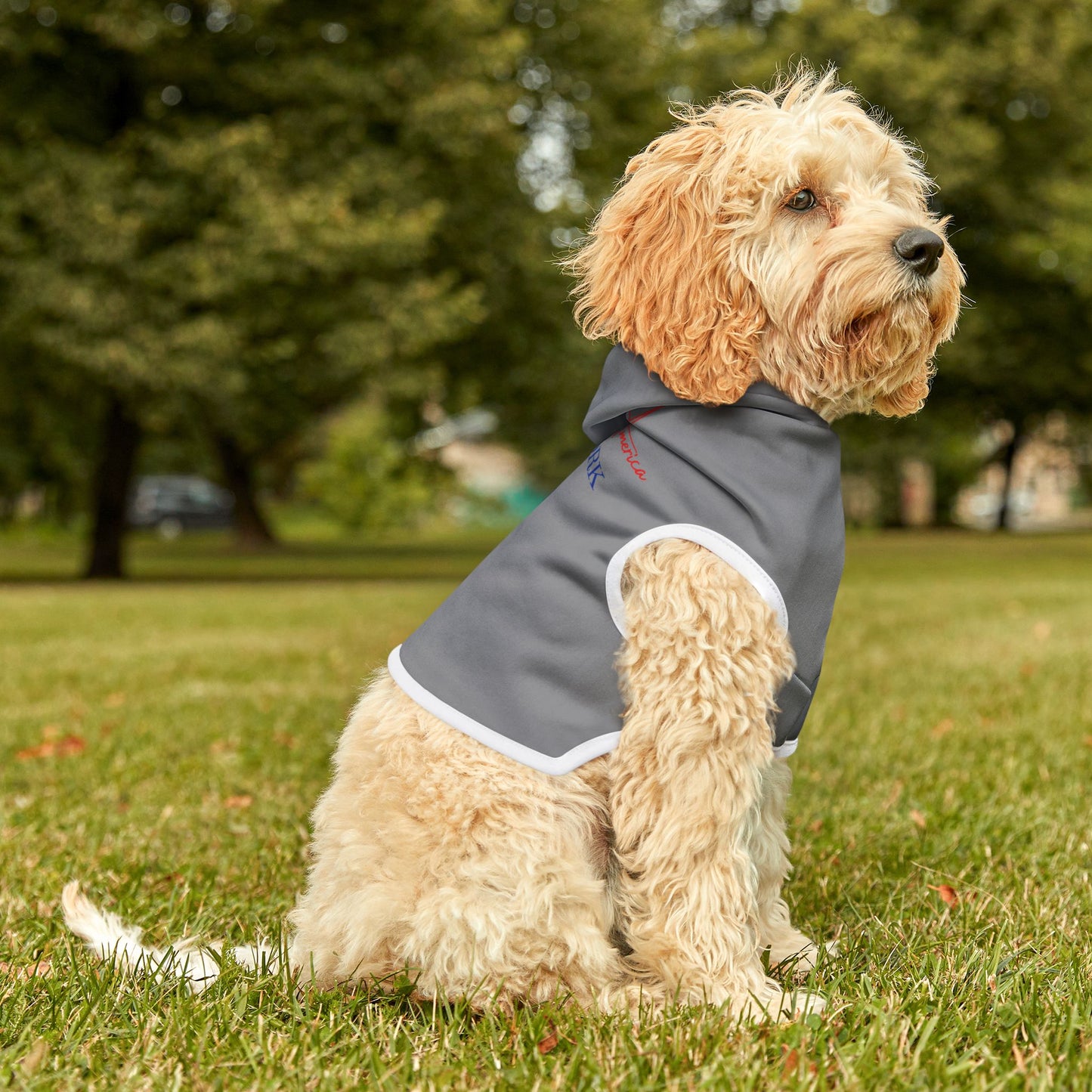 Pet Hoodie