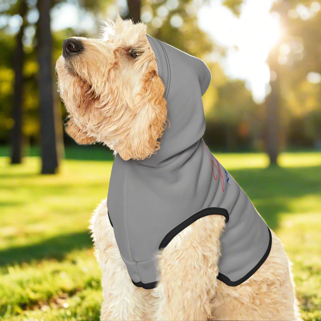 Pet Hoodie